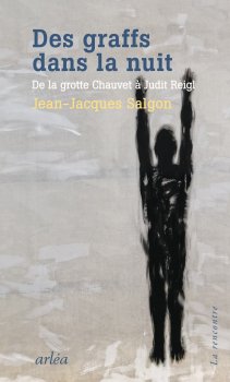 Image de couverture de Des graffs dans la nuit