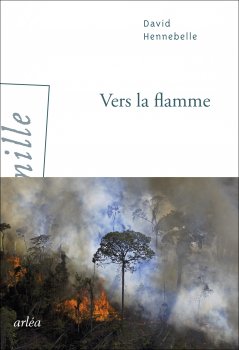 Image de couverture de Vers la flamme