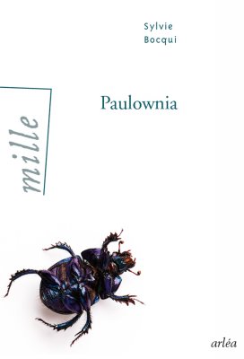 Image de couverture de Paulownia